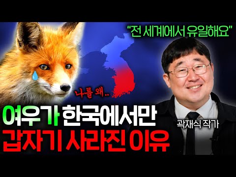 한반도에 빼곡하던 여우들은 다 어디갔을까? 🦊| 여우가 교활한 동물이 된 이유 (곽재식 작가)
