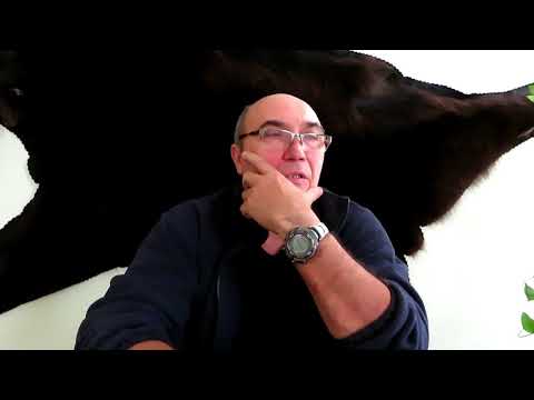 Выбор винтовки для начинающих