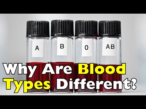 Why Do We Have Different Blood Types? The Science You Never Learned