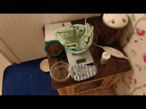 Первые дни после родов собаки. Уход за новорожденными щенками.