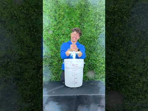 Can You Pull the Sword From the Ice? ⚔️