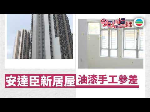 TVB今日有樓睇｜2026年02月11日｜安達臣新居屋　油漆手工參差｜樓市｜樓盤