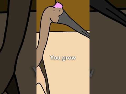 Largest Wingspan of ANY Animal #education #funfacts #animation