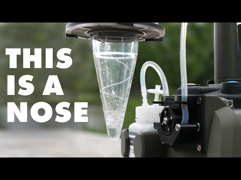 Why mechanical noses are so clever