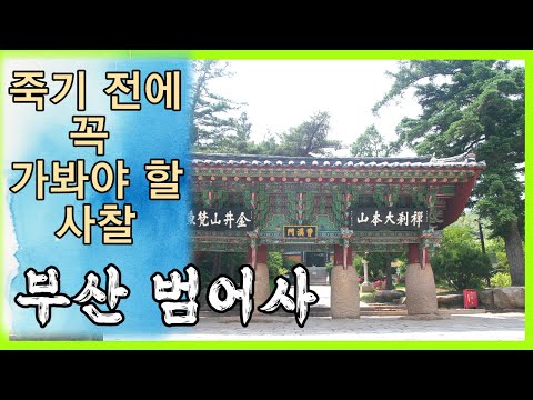 금빛 하늘 물고기가 부처님 마음 전한 사찰 ‘부산 범어사’ [죽기 전에 꼭 가봐야 할 사찰]
