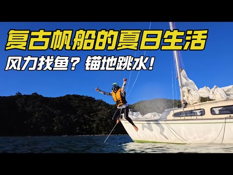《新西兰流浪记》开着1万块的50岁老帆船挑战纯风力钓鱼!复古小船的夏日钓鱼与跳水时光
