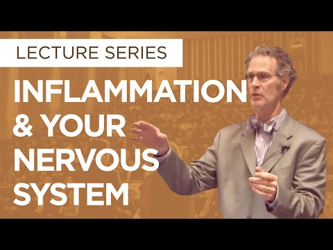 Inflammation & Your Nervous System