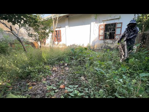 She said the backyard is full of snakes and mosquitoes, please help me clean it up.