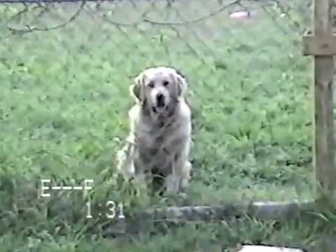 Brownsville, TX - Valley Christian High School Class of 1995 Part 3