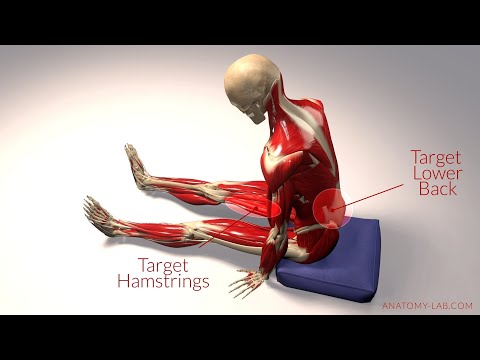 Targeted Stretching: How to Tailor Poses for Effective Muscle Release