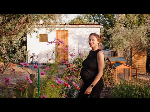 Everything Is About to Change! ✨& Gender Reveal :)