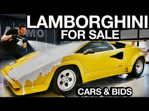 Lamborghini Countach Detail and Sell First Wash in Years!