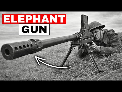 Why This “Obsolete” British Rifle Changed Rommel’s Battlefield Tactics