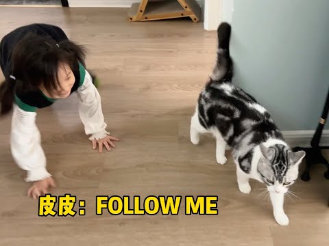 当家里来了孩子，社恐猫咪和社牛猫咪的区别也太明显了