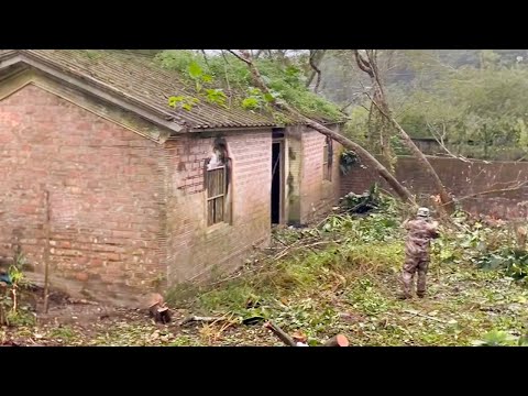 Family Divided ~Couple Finds a Dilapidated House, Renovation and Transformation It to Beautiful Home