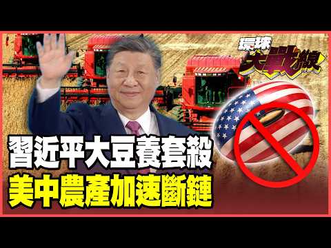 習近平豪買2500萬噸美豆設「套殺局」！中國砸1兆建大豆自主鏈 美國農民慘了！【#環球大戰線】20260206-P3 葉思敏 張延廷 楊永明 栗正傑