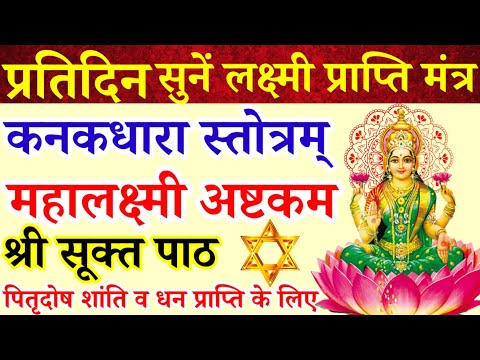 शुक्रवार अमावस्या स्तोत्र|कनकधारा स्तोत्रम्|महालक्ष्मी अष्टकम|श्री सूक्त पाठ|पितृदोष शान्ति Amavasya