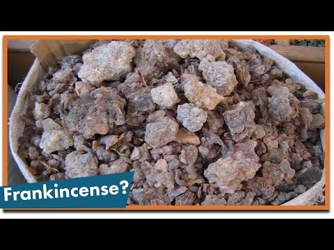 What Are Frankincense and Myrrh?