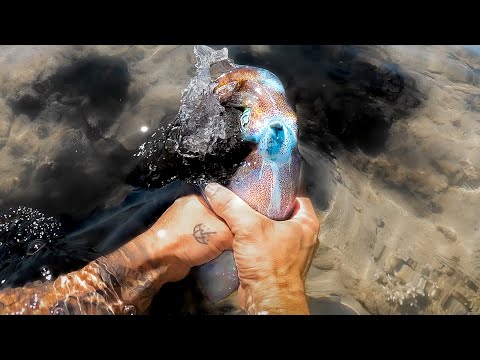 Survival Catch And Cook With My Barehands (Speedrun)