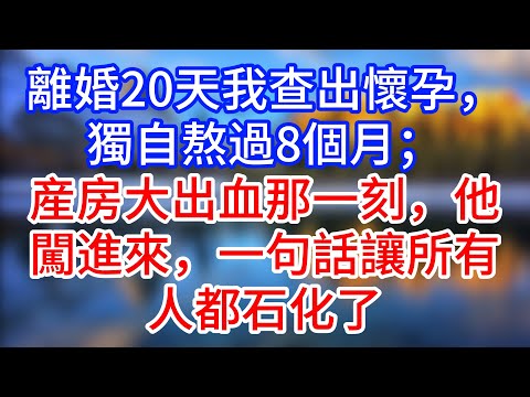 【完結】離婚20天我查出懷孕，獨自熬過8個月；産房大出血那一刻，他闖進來，一句話讓所有人都石化了