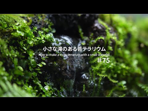 How to make a moss terrarium with a small waterfall #75