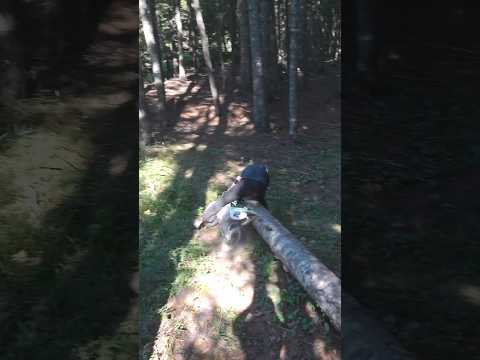 Mini Biking Gone Wrong…