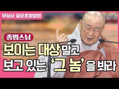 보이는 대상, 들리는 소리가 아니라 그 대상을 보고 듣는 놈을 봐라 #종범스님 #무상사일요초청법회 912회 풀버전