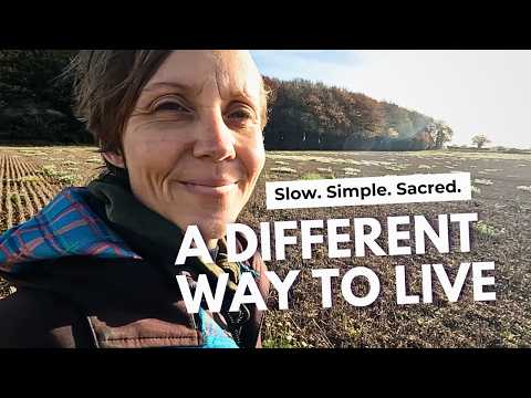 Modern Life Broke Me — So I Chose Nature and Slow Van Life