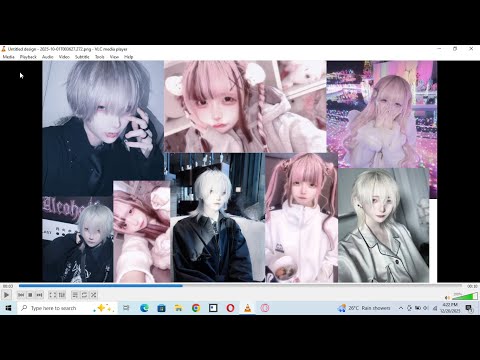 VideoLAN VLC Media Player Christmas Hat Icon