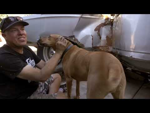 Roadkill S07E14 The Worlds Only C Body Road Runner