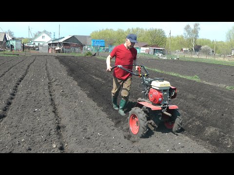 Деревенские зарисовки 2020  Часть 1