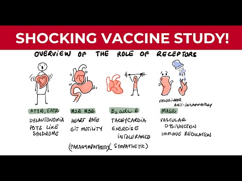 This Vaccine Injury Study SHOCKED Me!