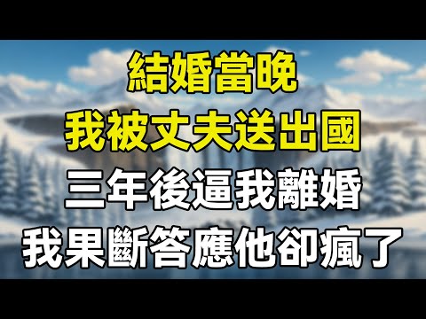 結婚當晚，我被丈夫送出國，三年後逼我離婚，我果斷答應他卻瘋了！  #故事 #情感故事 #生活經驗 #感人故事 #老年生活 #為人處事 #人生哲理 #家庭故事