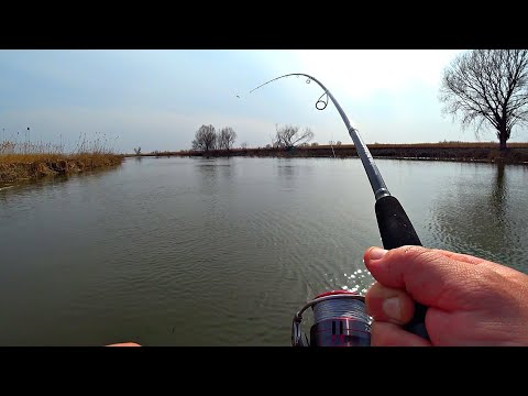 ВОТ ЭТО РЫБАЛКА ВЫШЛА! Огромная щука, здоровый сазан на спиннинг. Кровь как со свиньи по всей лодке