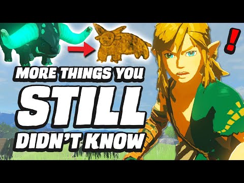 33 MORE Things You STILL Didn't Know In Zelda Tears Of The Kingdom