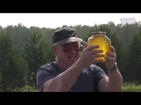 Жизнь у дороги. Фильм Сергея Герасимова