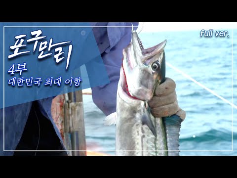 부산 자갈치 시장, 영도구 남항까지 부산 바다와 마을이 만나는 곳_포구만리 4부 Full.ver