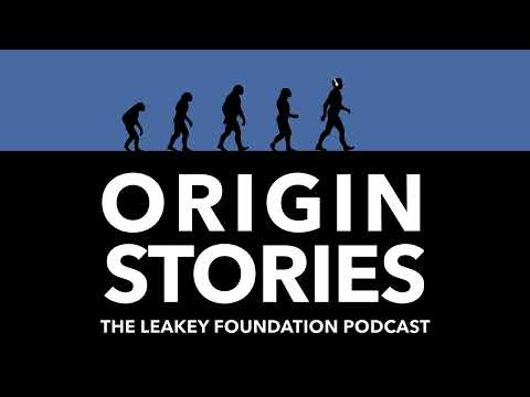 Origin Stories: Top Human Origins Discoveries of 2024 (audio-only)
