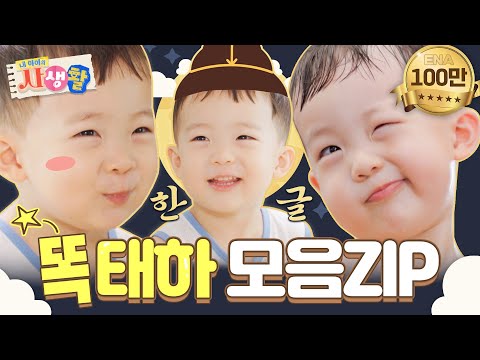 [#내아이의사생활] 하이라이트 | 세종대왕님도 감탄한 똑똑한 태하 모음집👍 | ENA 채널 | 토요일 저녁 8시 30분