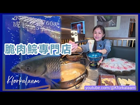 深圳¥19雞油煲仔飯😌飯焦+五指毛桃湯👍🏻脆鯇魚專家🐟養魚千日•鮮脆當食🥬有機蔬菜🐦🔥信宜脆皮雞🌱超滑手工腐竹 #脆鮮生 #深圳火鍋 #深圳食魚 #脆鯇魚 #脆肉鯇 #福田 #卓悅中心