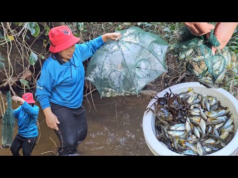 ตุ้มใหม่ออกงานจ้า! หมานเต็มกระติก​ ปลาซิวข้าว​ ปลาขขาว​ ปูหินโพดโพ​ 19ธ.ค.68