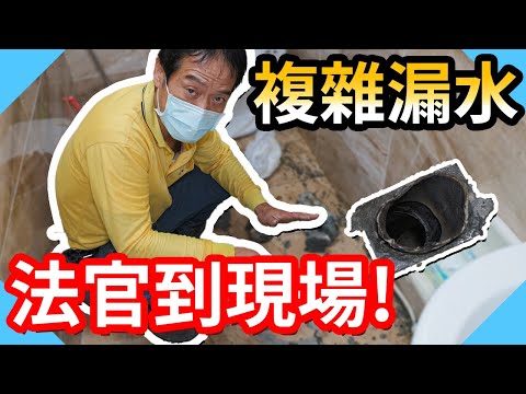 超複雜漏水案法官居然要到現場!｜馬桶整年不能用到底什麼情況?【水電爸爸】
