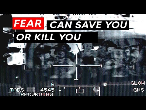 Marines on Courage & Fear