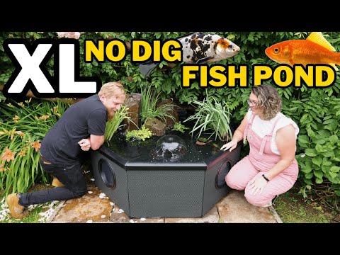 Easiest BIG goldfish pond ever. Built by my wife (A Total Beginner!)