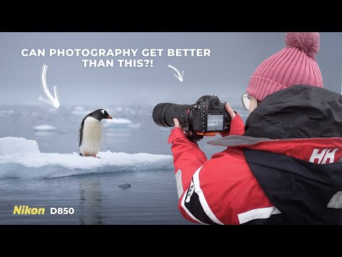 Releasing Expectations: Antarctica Photography with a Nikon D850