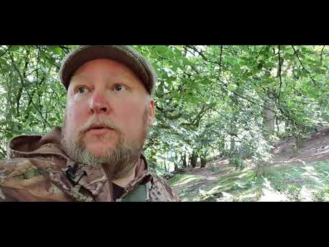 Slingshot anchor point chat and live comp video