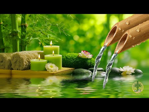 Beautiful Relaxing Music + Soothing Water Sounds 🌿 Piano Music Relax Mind Body, Stress Relief, S...