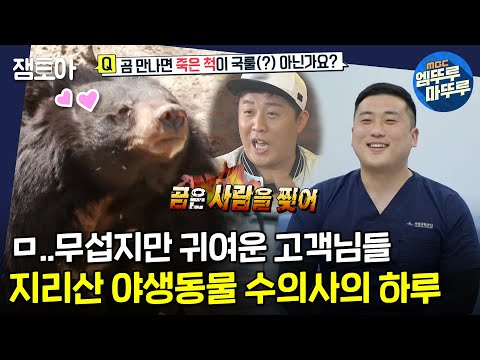 [이무튼 출근] 다친 야생동물을 치료해주는 5년차 수의사 임승효의 밥벌이 VLOGㅣ#야생동물 #수의사 #임승효 MBC210427방송