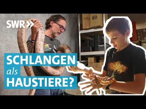 Der Reptilfluencer: Zwischen Schlangen-Zucht und YouTube-Karriere