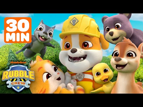 Rubble Rescues Cute Baby Animals In Builder Cove! | 30 Minutes | Rubble & Crew